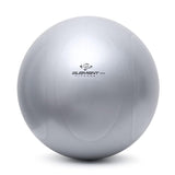 Element Fitness Commercial 65cm Anti-Burst Ball - N-Gen Fitness